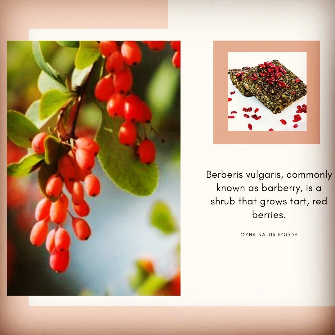 One of the ingredients in classical fresh herb kuku is barberry and so many of you wanted to know what barberry was so here it is. 
Berberis vulgaris, commonly known as barberry, is a shrub that grows tart, red berries.
While the plant is native to 